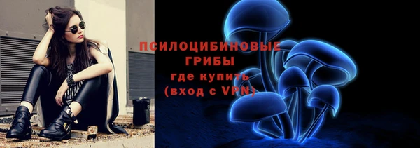 соль ск Нефтегорск