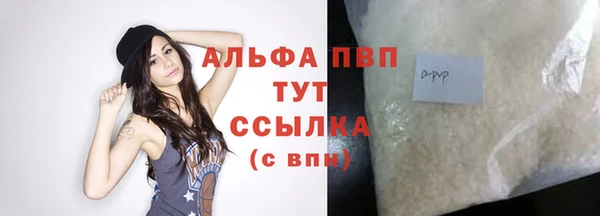 гашик Нефтекумск