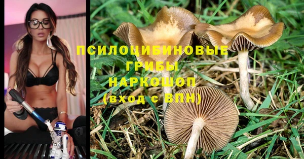 таблы Нея