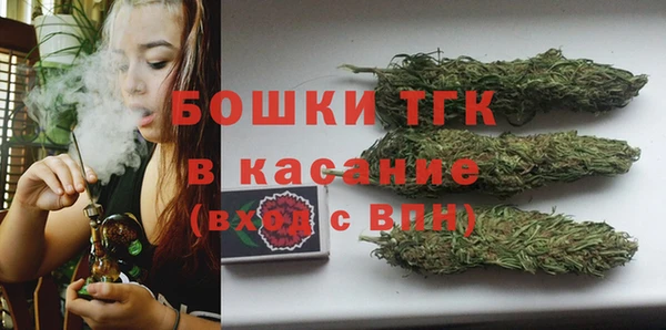 гашик Нефтекумск