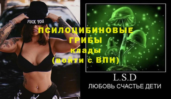 гашик Нефтекумск