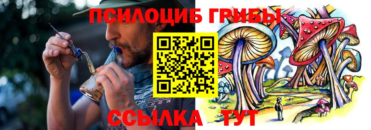 Псилоцибиновые грибы MAGIC MUSHROOMS  где можно купить   Белгород 