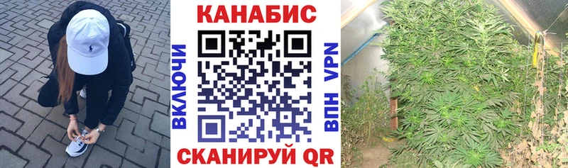 продажа наркотиков  Белгород  Конопля марихуана 