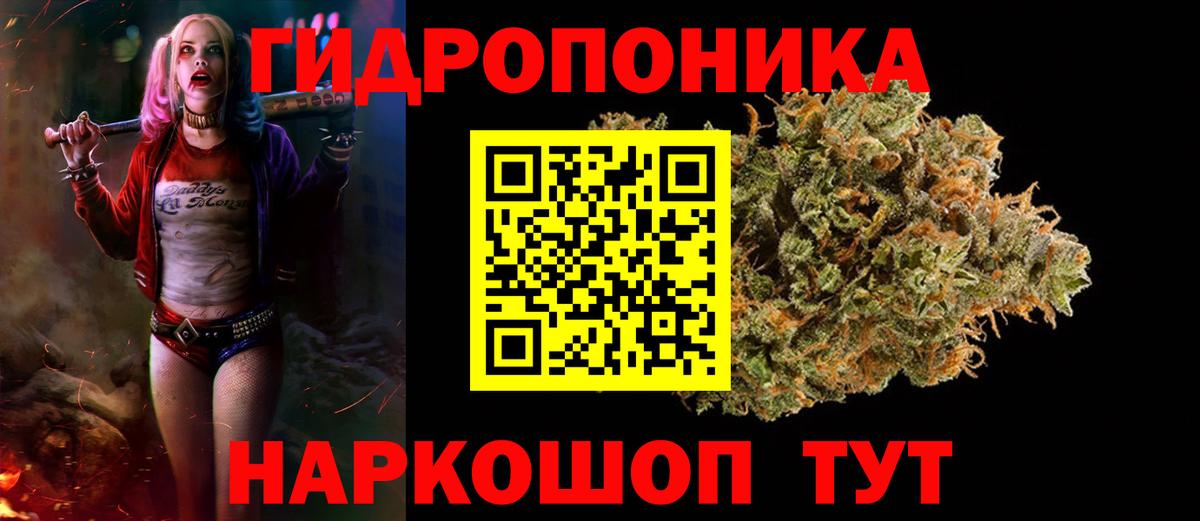 Бошки Шишки Amnesia  Белгород  Бошки Шишки семена  Марихуана тримм  Каннабис VHQ 
